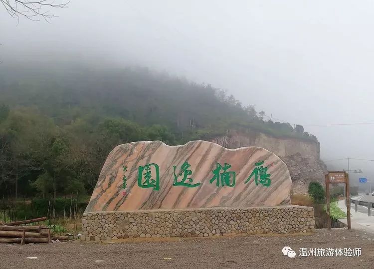 素心记樱花盛宴雁楠逸园