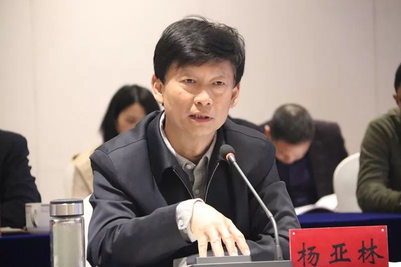 杨亚林代表