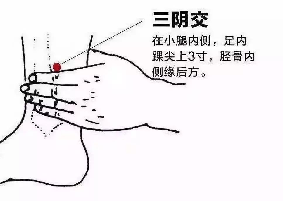 人生四个时期各具特点,艾灸这些穴位保健康_关元