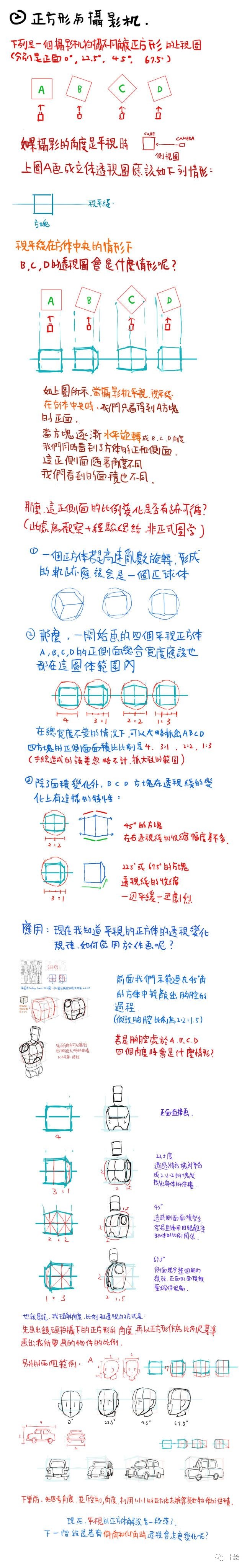 人体透视画不好怎么办？这个透视教程很有用！