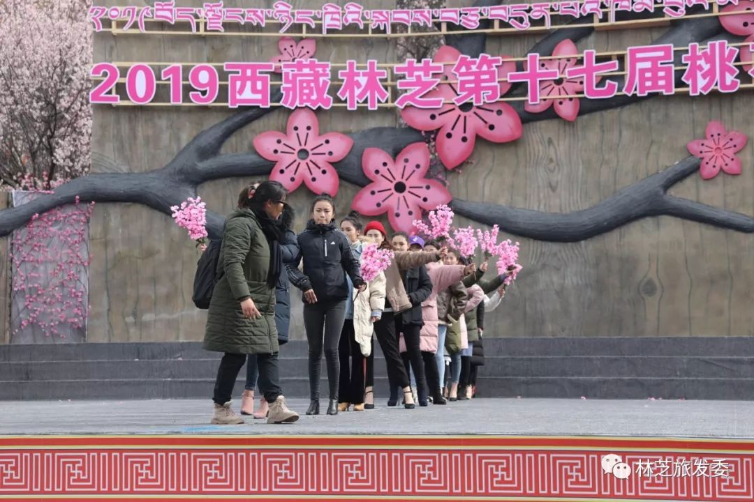 2019西藏林芝市第十七届桃花节开幕