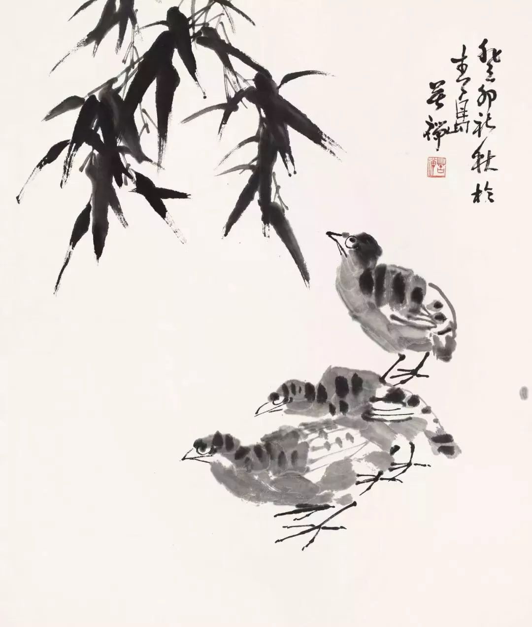 李苦禅 竹下鹌鹑你看八大山人画的蝉,竟画人家从来不画的正面蝉(头