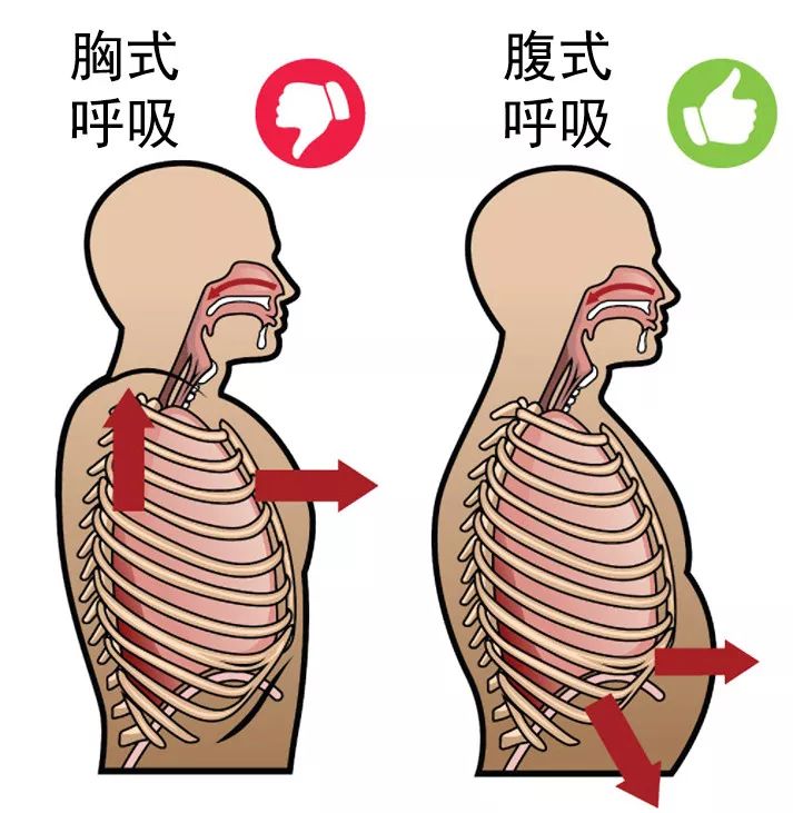 五,改善胸椎灵活性的训练方法