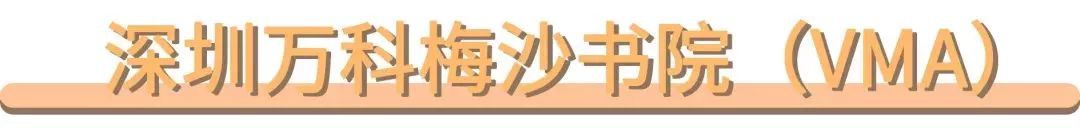 挤破头都想进的海外高校大科普！深圳家长选这类学校(图8)