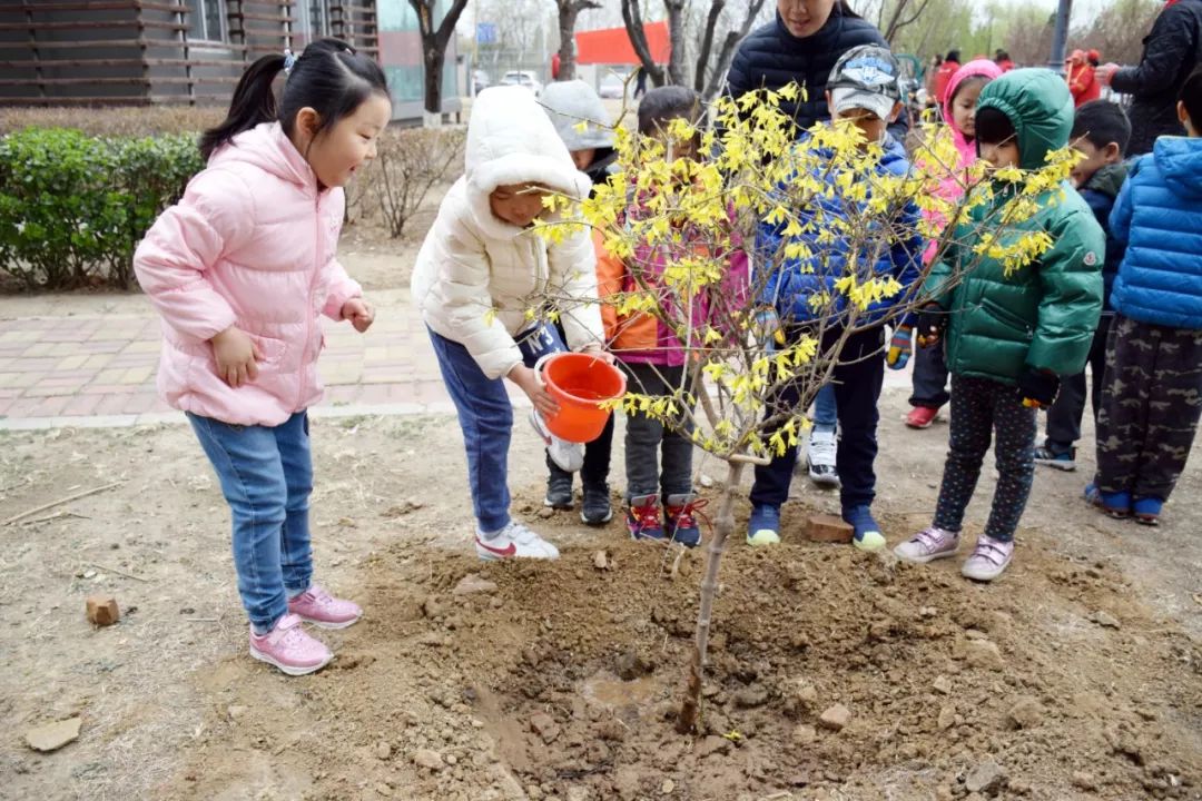 图说美化辖区环境光明街道开展义务植树活动