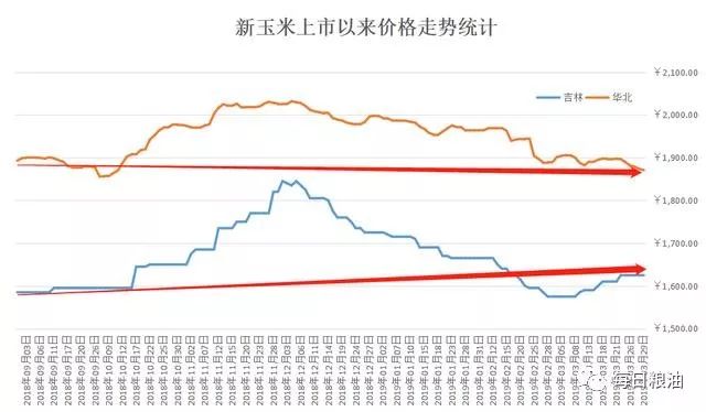 華北玉米收購代價已跌破開秤價 東北也是只差一線 財經 第1張