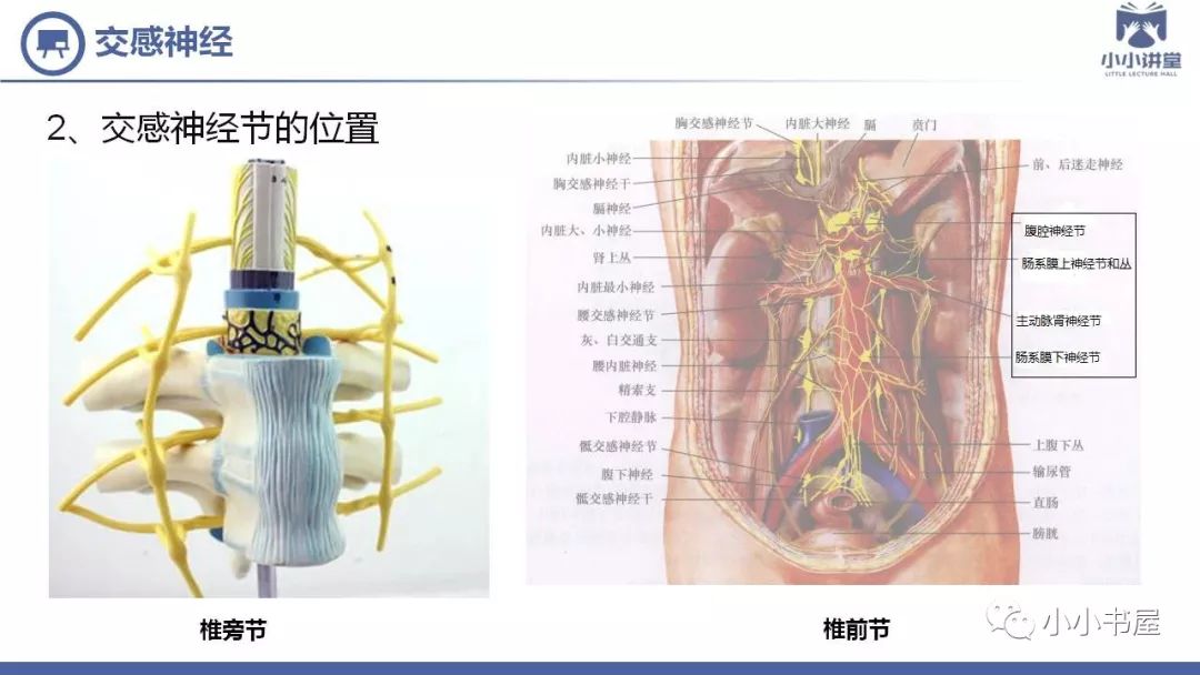 干货| 交感神经型颈椎病