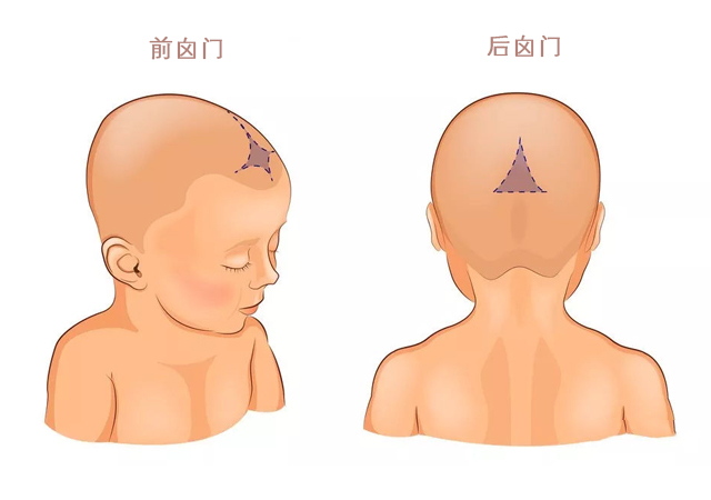 原创宝宝囟门什么时候闭合算正常晚于这个时间可不行爸妈要注意