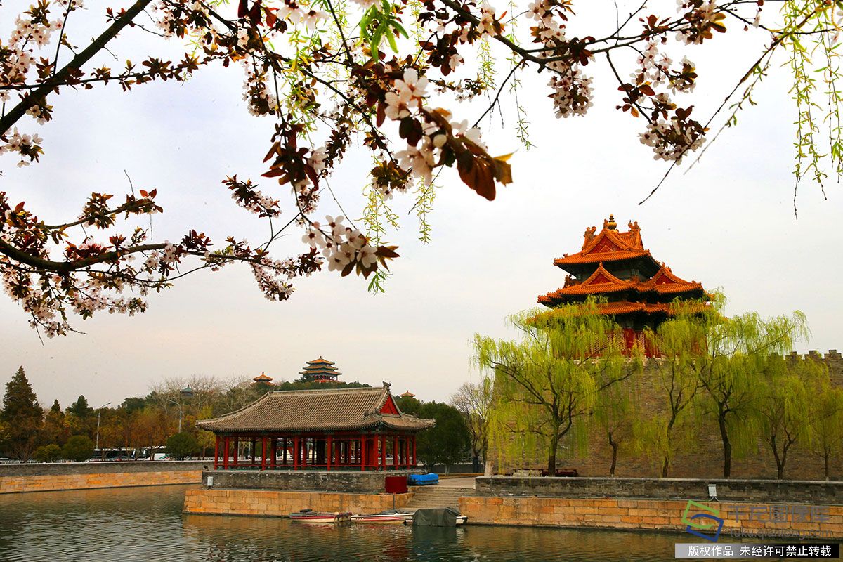 3月27日,北京故宫角楼在春景的映衬下更显美丽( 图片来源:tuku.