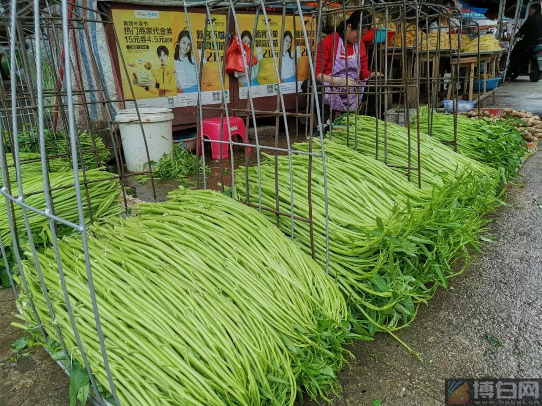 空心菜中文学名叫蕹菜,尤其以博白蕹菜最为出名,它味道鲜美,清爽可口