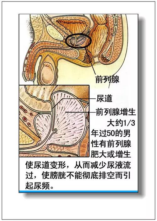 人体器官有什么成语_含反义词的成语有什么