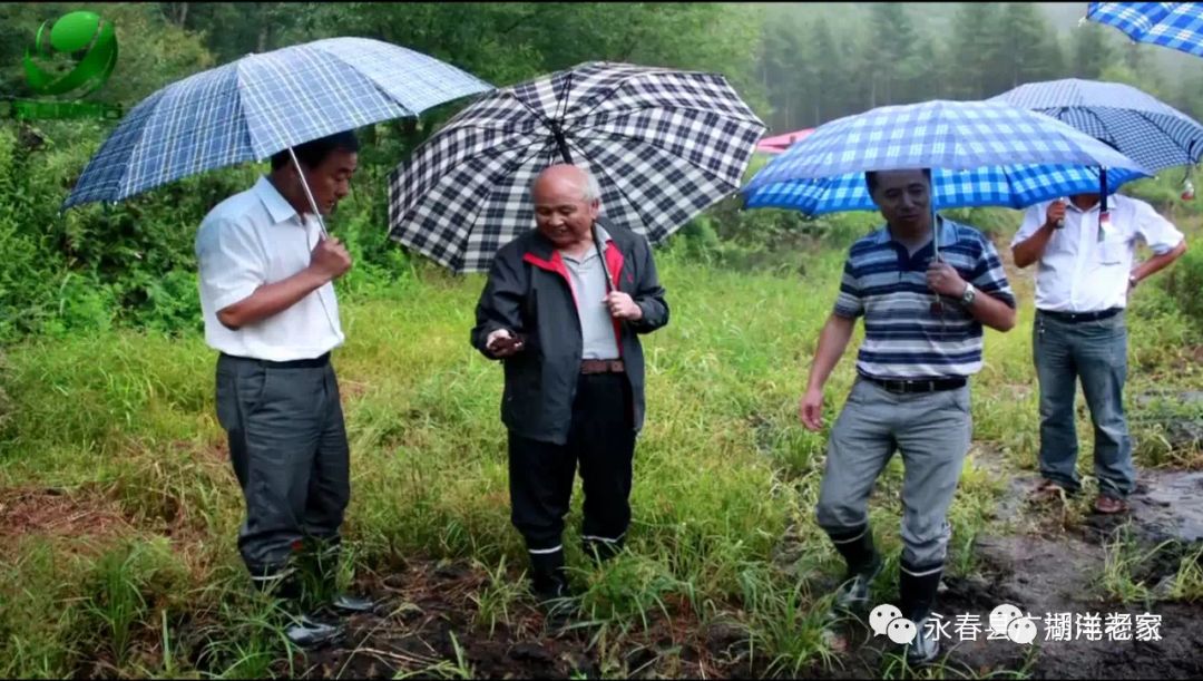 湖洋人风采湿地生态学专家中国工程院院士刘兴土