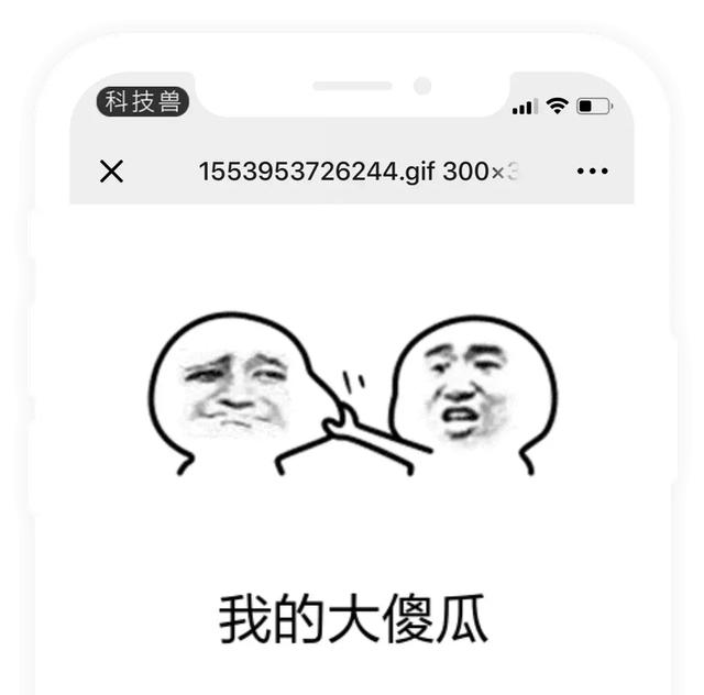 iPhone新技能：制霸微信伴侶圈，教你評論中發送GIF臉色！ 科技 第7張