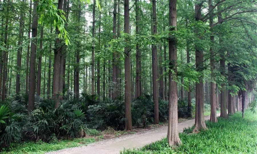 潜江有多少人口_潜江小龙虾