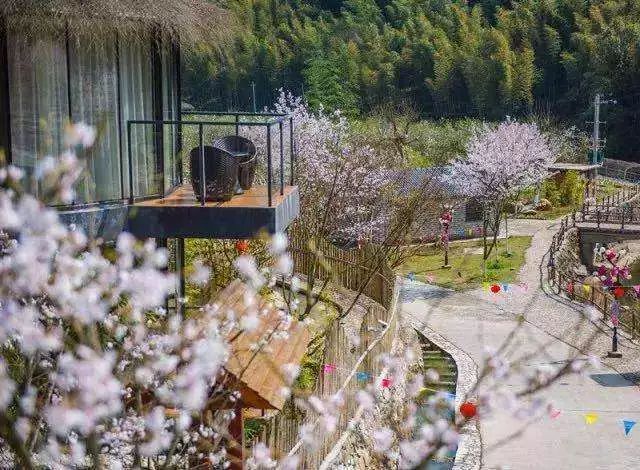 3000张门票免费领宜春栖隐山庄樱花谷第三届樱花节火热进行中卡通气模