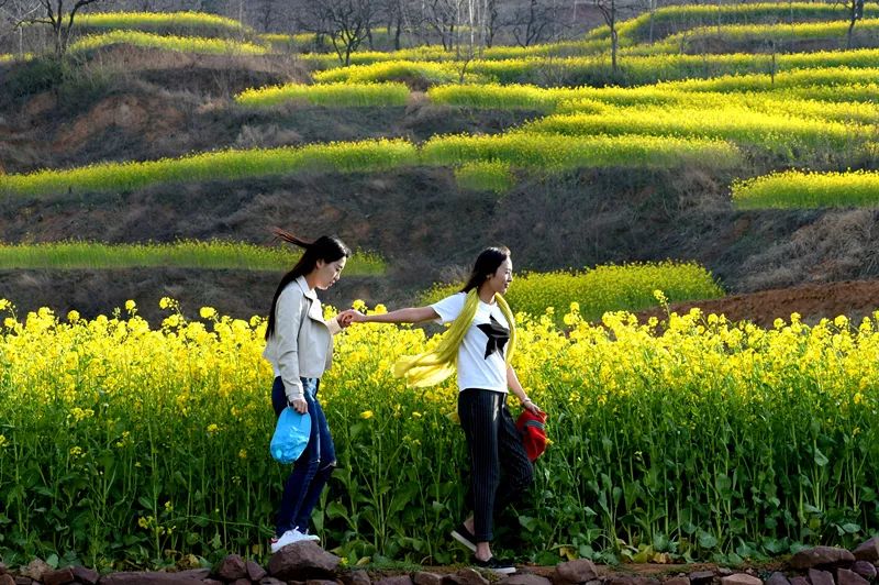 襄城县婚纱照_襄城县地图(3)