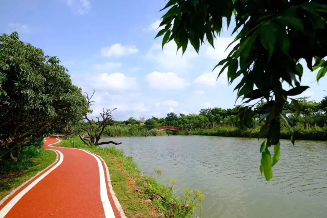 湖心岛旅游风景区是原始生态,田园风光与乡村风