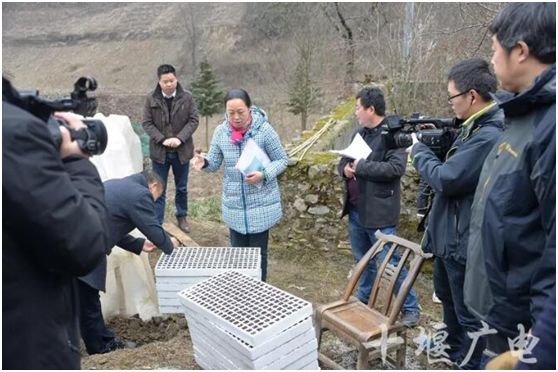 竹山县有多少人口_重磅 湖北285个村入选2018年度美丽乡村建设试点 武汉就有(2)