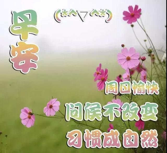 周末早晨好最美问候早上好温馨句子 微信早上好动态表情图片