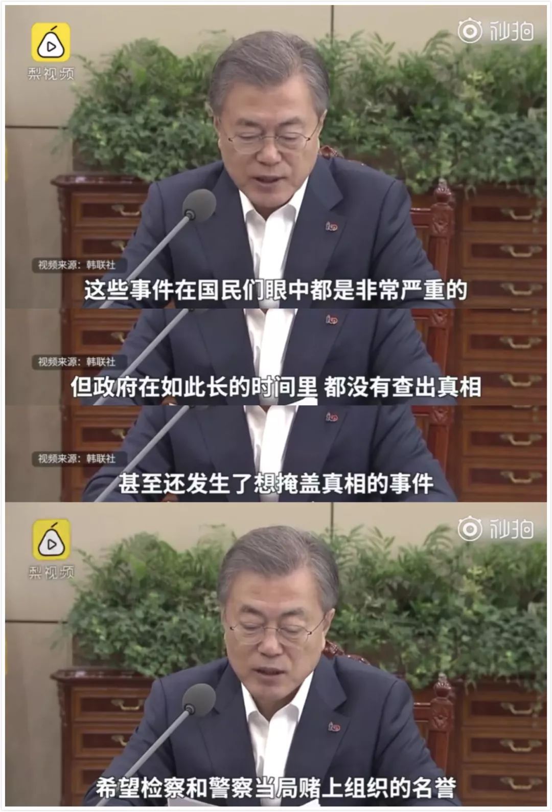 張紫妍案復興波瀾：獨一證人安然幾乎無保障，底蘊何時才幹大大白？ 娛樂 第6張