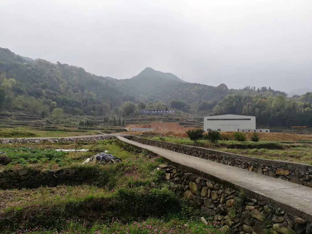 区交通运输局组织召开瓯海大道西延泽雅镇周岙村至吴坑村段工程线位