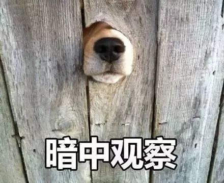 人对人口水传染狂犬病_得了狂犬病的人图片