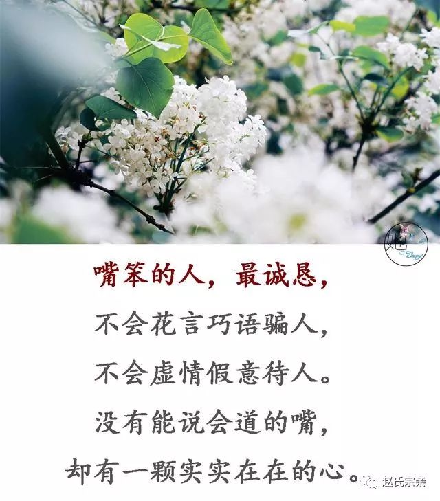 嘴笨的人,不会花言巧语,不会虚情假意,有一颗实实在在的心(美文)