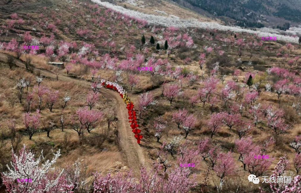 快看萧县这几处桃花源,真美!我们一起去看好不好?