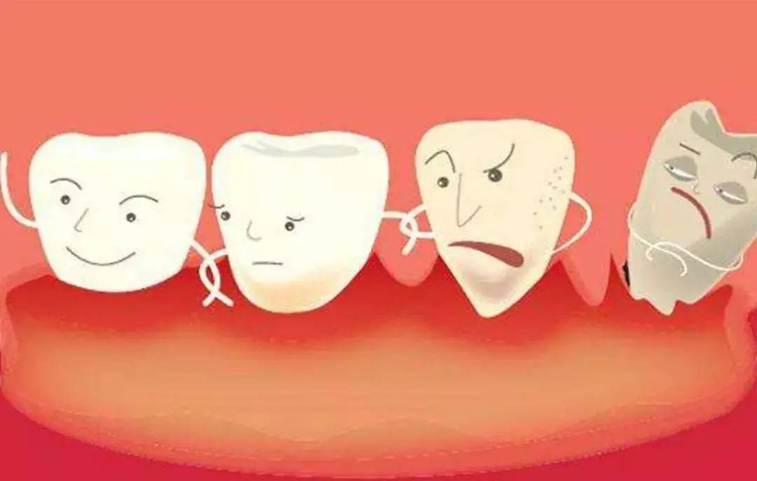 高医生告诉你:到底是哪里出了问题让你患上牙周病_牙龈