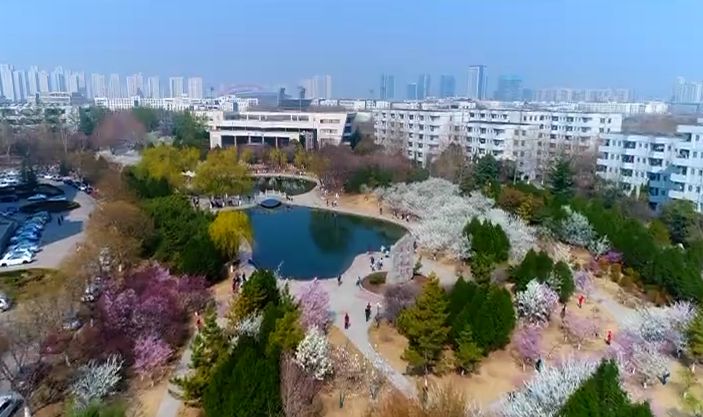 山东理工大学 梅园