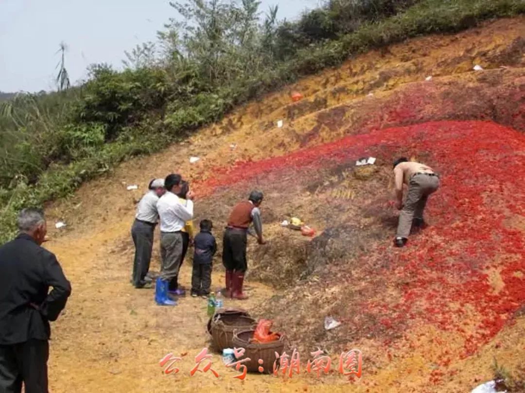 高州客家人口_高州人民医院图片