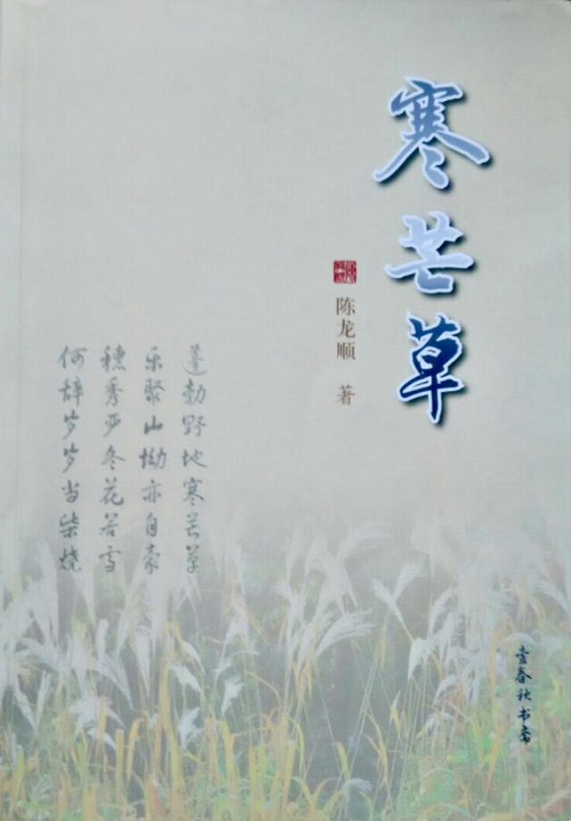 原创首发 真水无香寒芒草