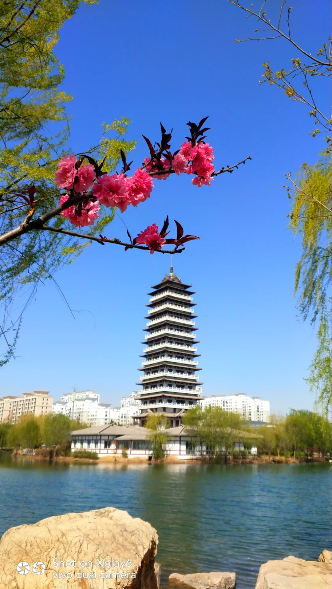 春天里的临漳七子湖,天蓝水碧,风景秀丽