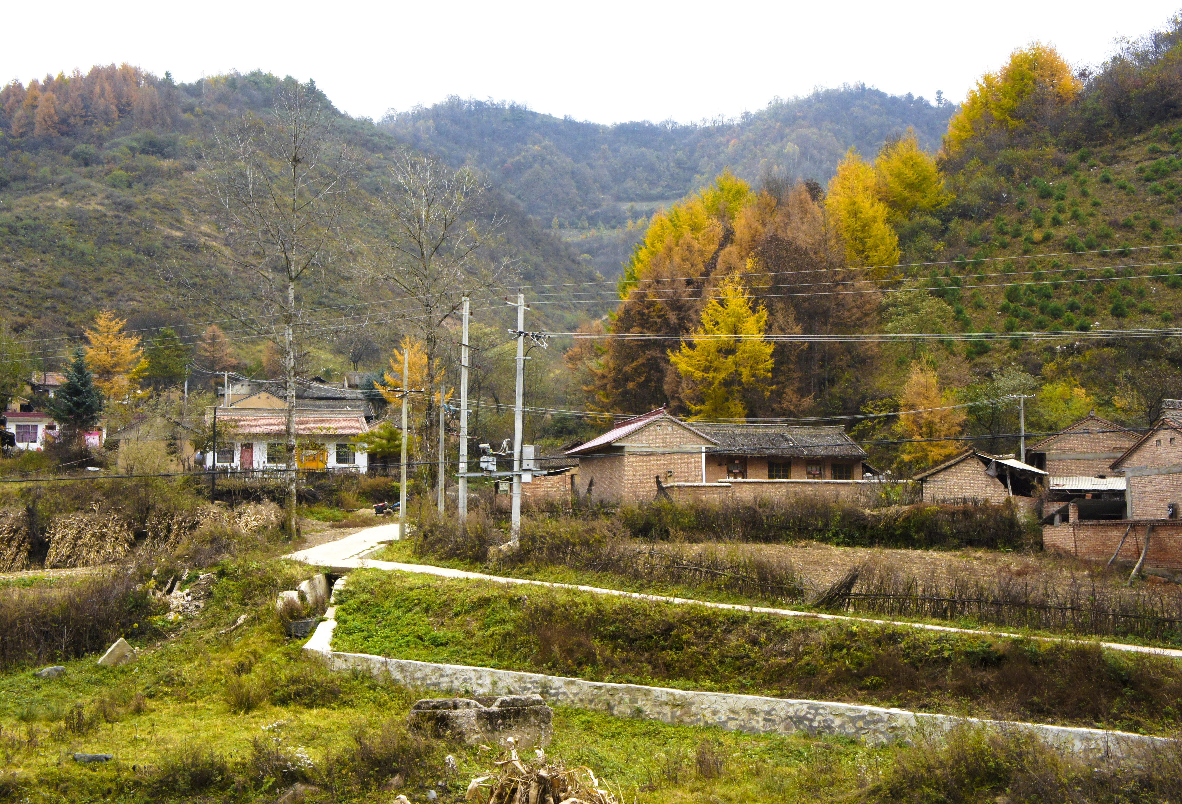 甘肃经济总量排名第几_甘肃经济日报社刘峰