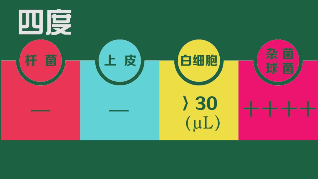 菁准健康:检验科医生教你2分钟看懂白带常规报