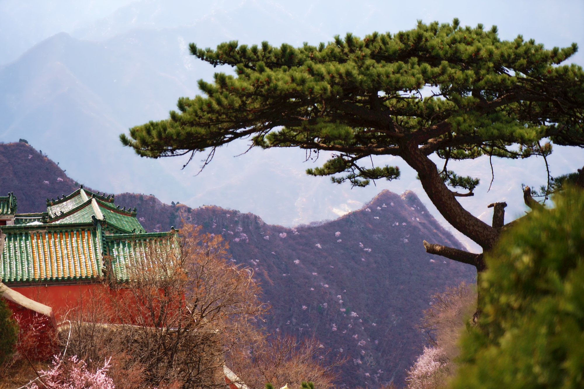 “京都第一奇山”圣莲山，赏花踏青这里人少景美
