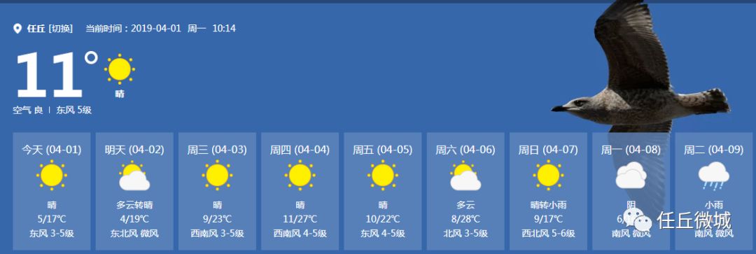 任丘求职招聘租房二手便民信息每日更新(