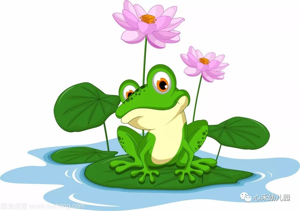 【睡前小故事】池塘里的青蛙