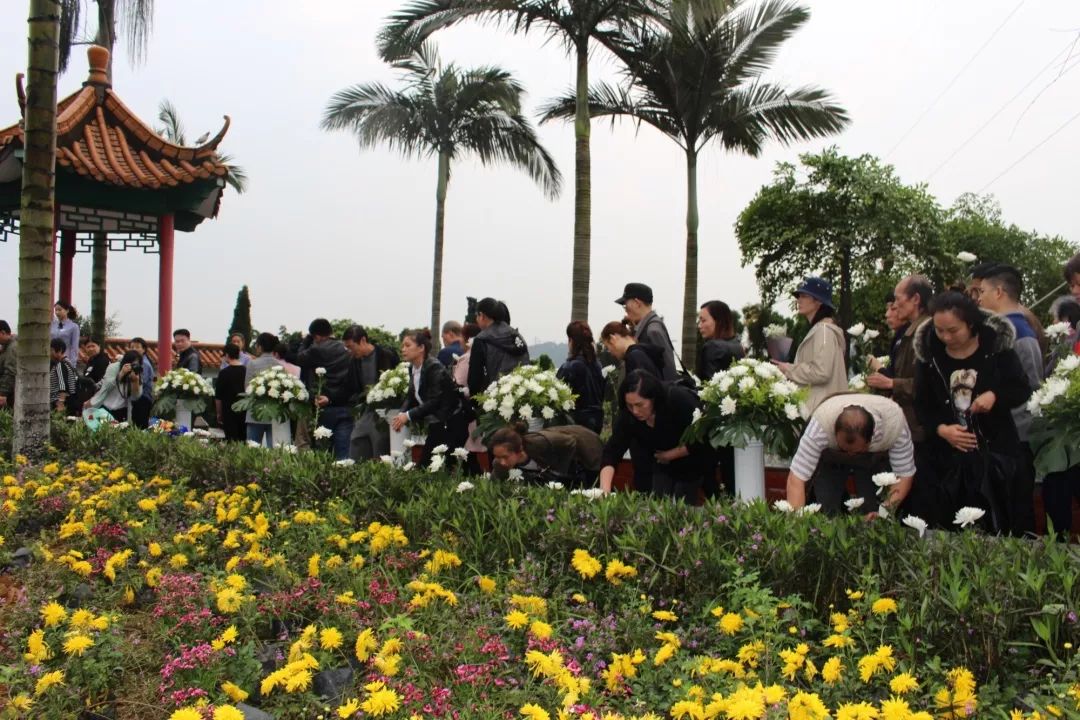 用鲜花寄托哀思让生命回归自然柳州市举行2019年集中公益花葬活动