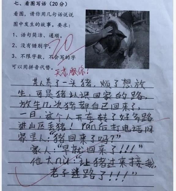 小学生看图写话走红,老师批阅试卷后,留下评语称其"天才"