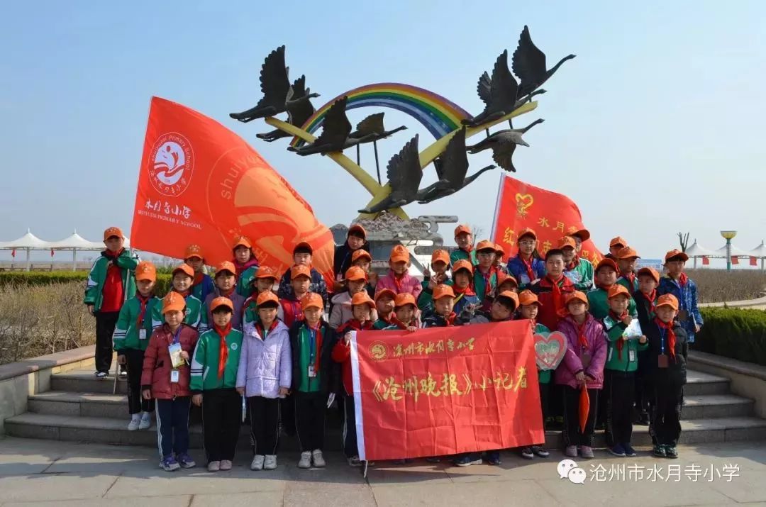 【运河教育】同在蓝天下—水月寺小学师生赴南大港湿地放飞康复鸟