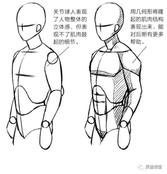 灵猫课堂丨零基础插画漫画入门-超详细草图的泛用模型