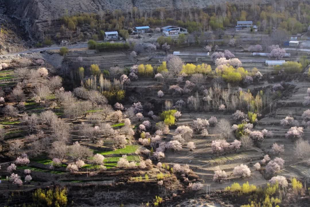 巴藏镇后背山村多少人口_贵州巴平村山村图片(3)