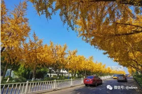 芜湖江南人口_芜湖江南实验中学