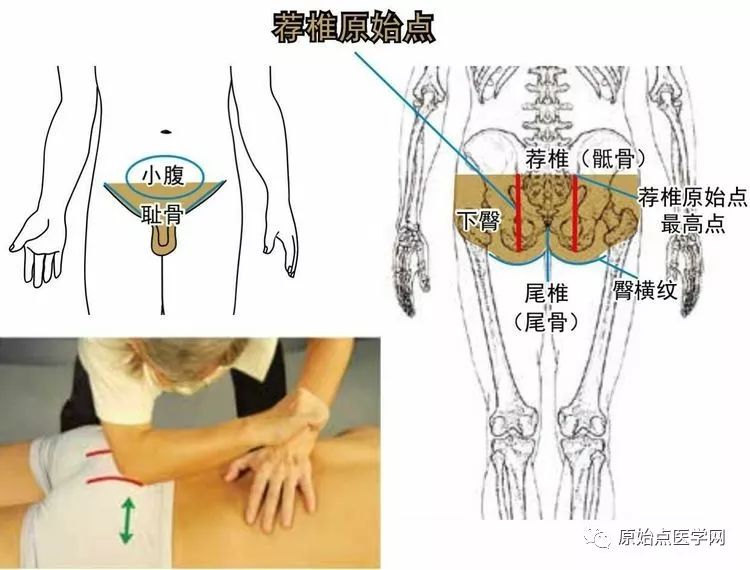 原始点78原始点位置真人示意图78素食寒热表78中药药性分类表