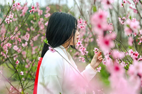 油菜花汉服怎么搭_油菜花汉服摄影作品