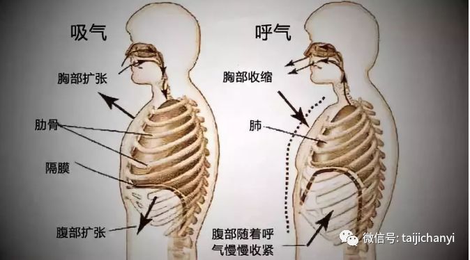 浅谈太极拳呼吸吐纳方法有哪些?