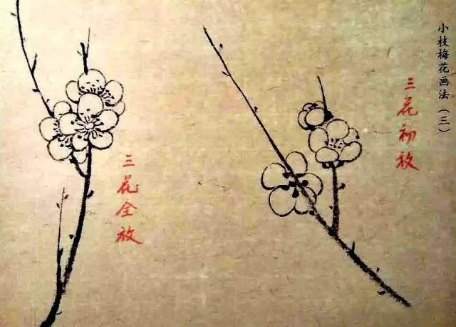 一笔画一瓣,5笔画梅花!画各种方向的花,看了没有学不会的!