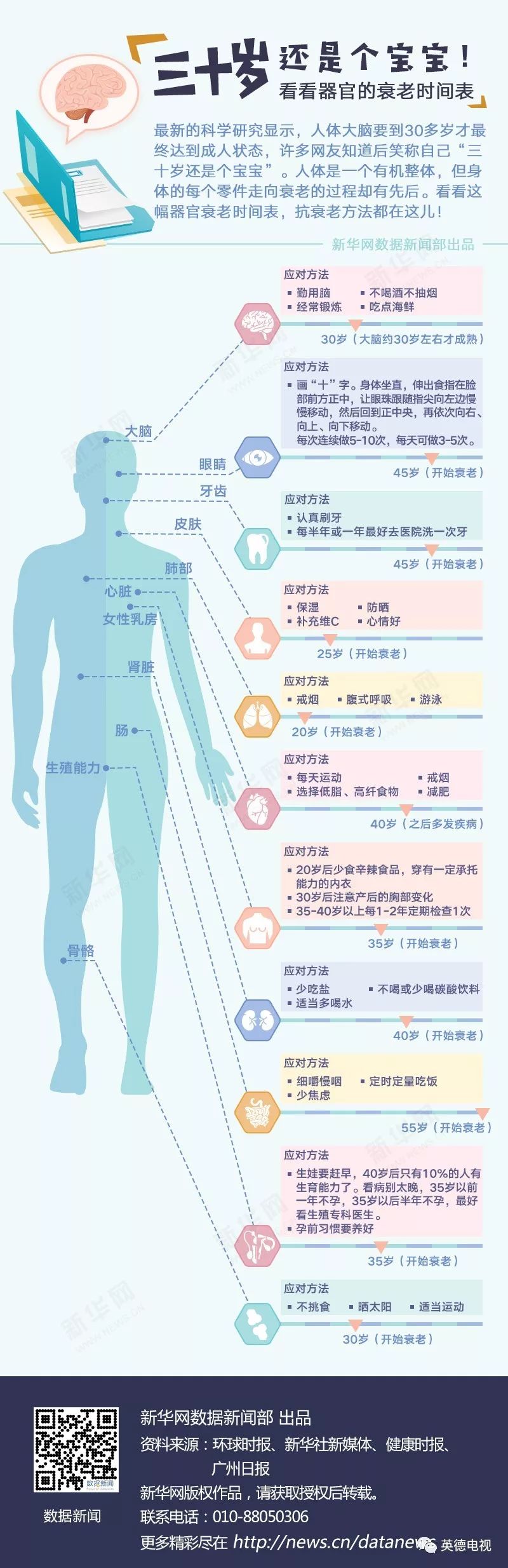 看看器官的衰老时间表