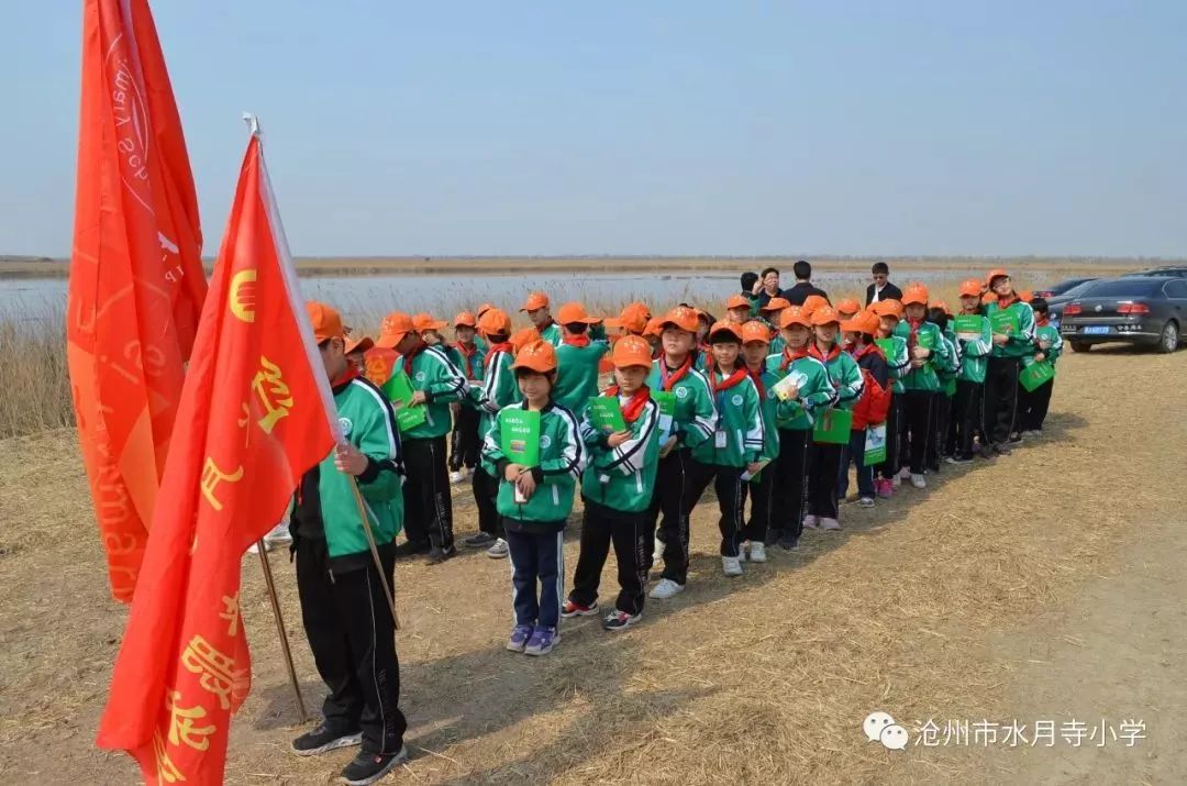 运河教育同在蓝天下水月寺小学师生赴南大港湿地放飞康复鸟